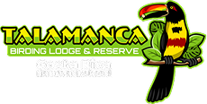 TALAMANCA BIRDING LODGE & RESERVE 2 1